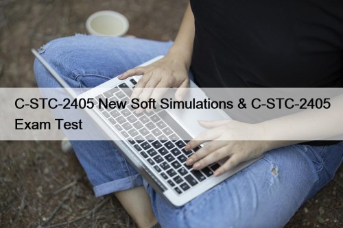 C-STC-2405 New Soft Simulations & C-STC-2405 Exam Test